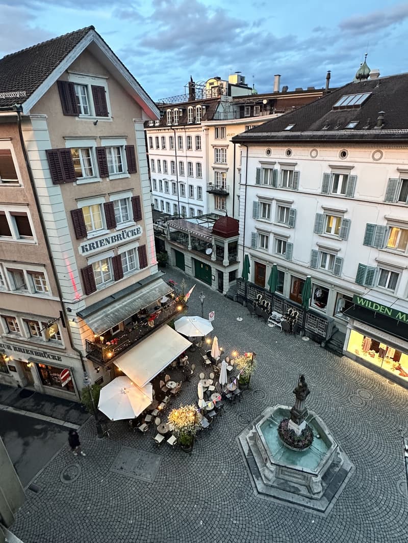 Lichtdurchflutetes 3.5-Zi-Bijou am Rande der Luzerner Altstadt - 8 Gehminuten vom Bahnhof entfernt (10)