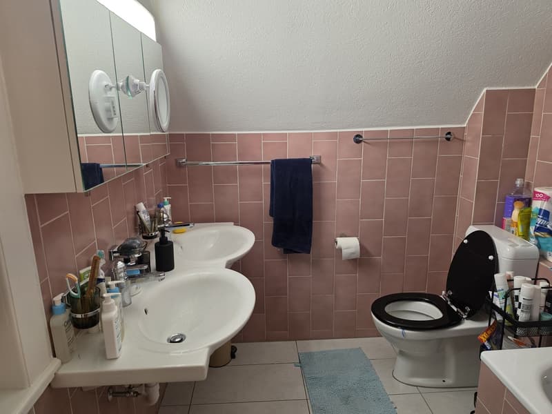 Helles, grosses WG-Zimmer (18 m²) in Emmenbrücke (4)
