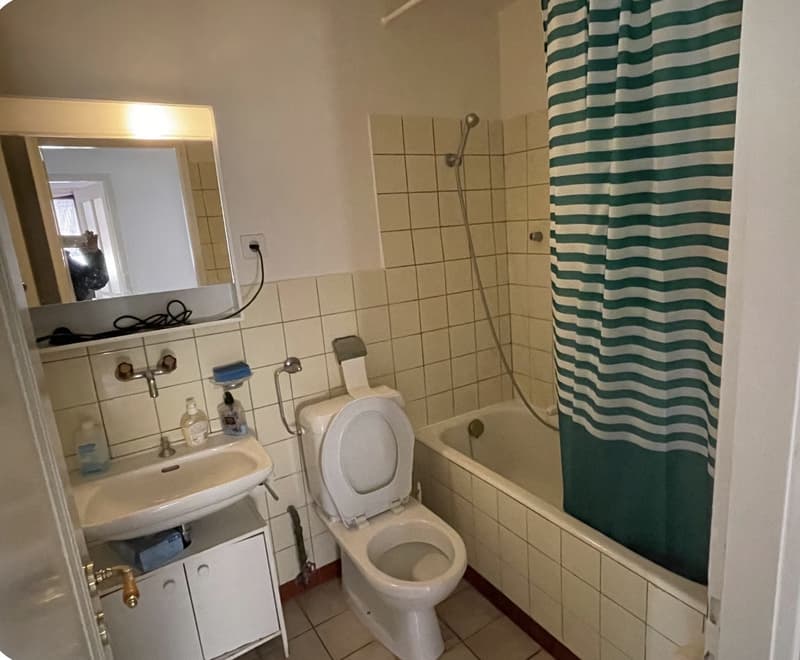 2 ½ rooms apartment, 1018 Lausanne (4)