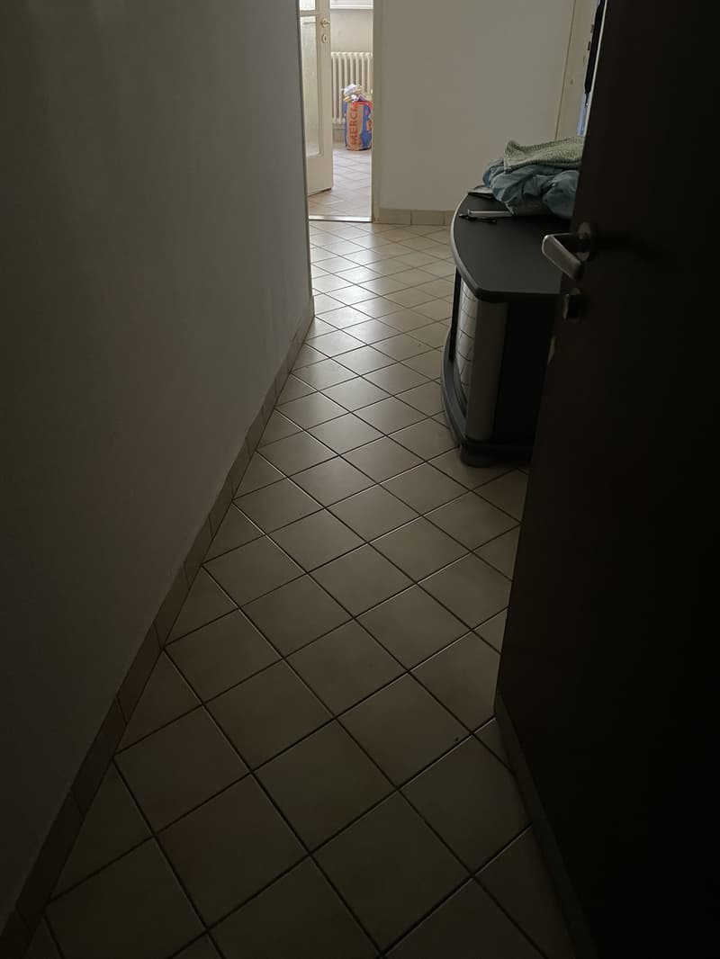 2 ½ rooms apartment, 1018 Lausanne (7)