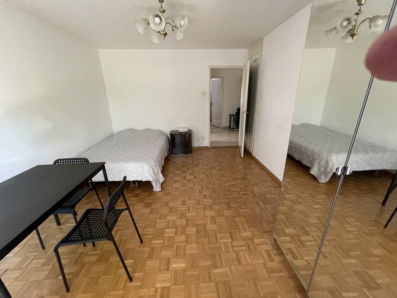 2 ½ rooms apartment, 1018 Lausanne (2)