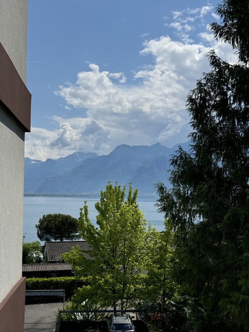 Bel appartement meublé de 2.5 pièces à 30 secondes du lac (6)