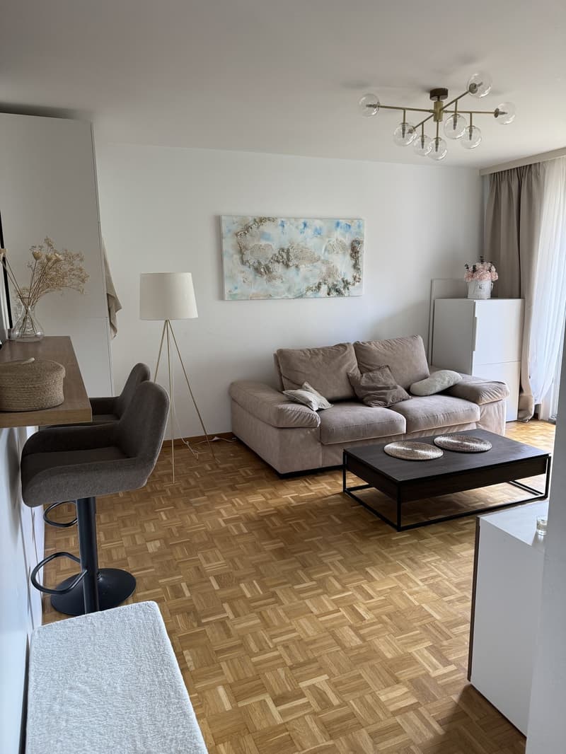 Bel appartement meublé de 2.5 pièces à 30 secondes du lac (12)