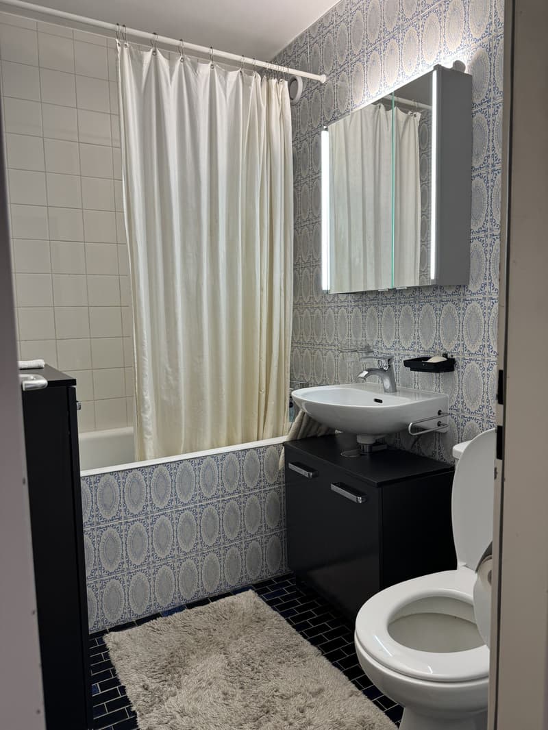 Bel appartement meublé de 2.5 pièces à 30 secondes du lac (11)