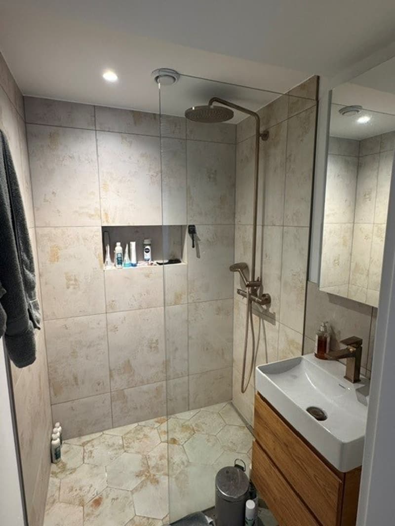 3.5 Bedroom Apartment for rent in Lucerne (3)