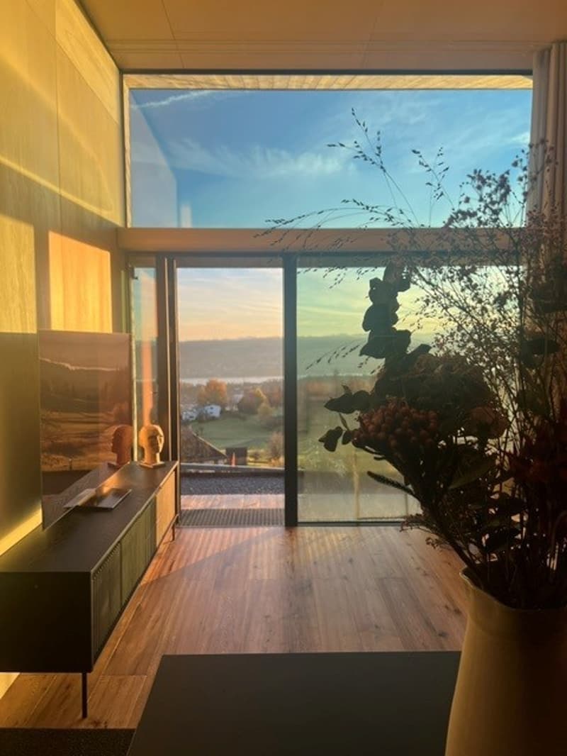2.5-Zimmer-Tiny-House mit spektakulärer Zürichsee-Aussicht ca. 20 Min. von Zürich (1)