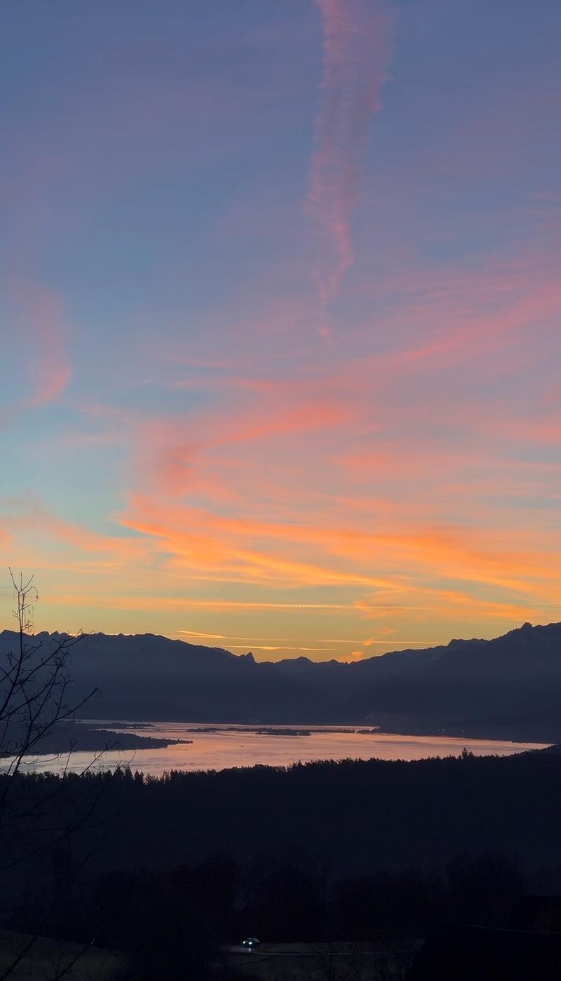 2.5-Zimmer-Tiny-House mit spektakulärer Zürichsee-Aussicht ca. 20 Min. von Zürich (3)