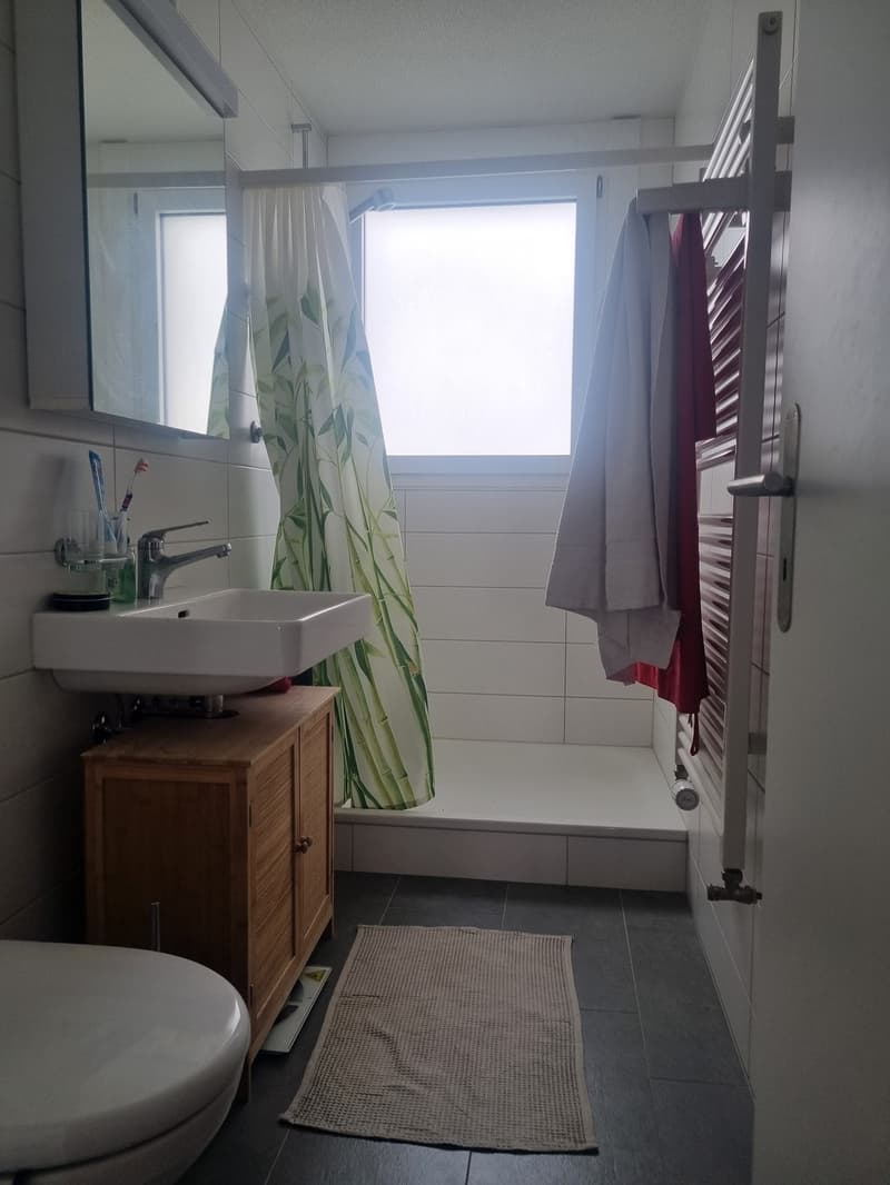 Moderne und helle 2.5-Zimmer-Wohnung in Bern-Bümpliz (7)