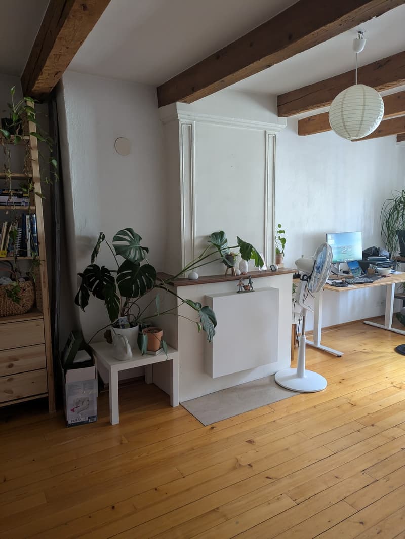 Apartment 2.5 rooms in Morges (3)