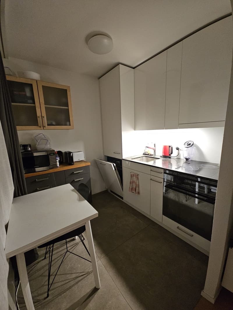 Modern furnished apartment close to the lake (2)
