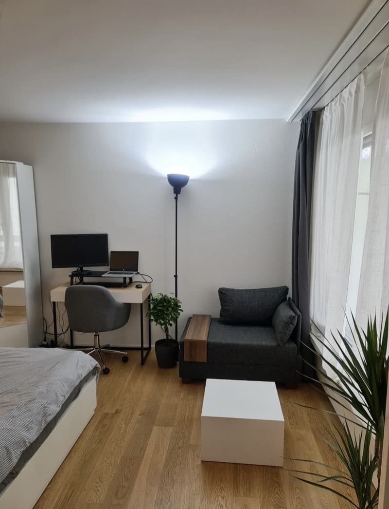 Modern furnished apartment close to the lake (3)