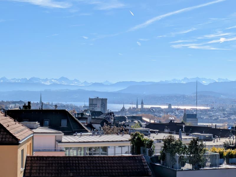 Wipkingen Penthouse Studio with Breathtaking Alps & Lake Views (6)