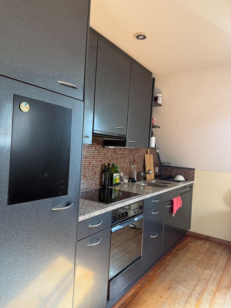 Apartment in Flawil (10)