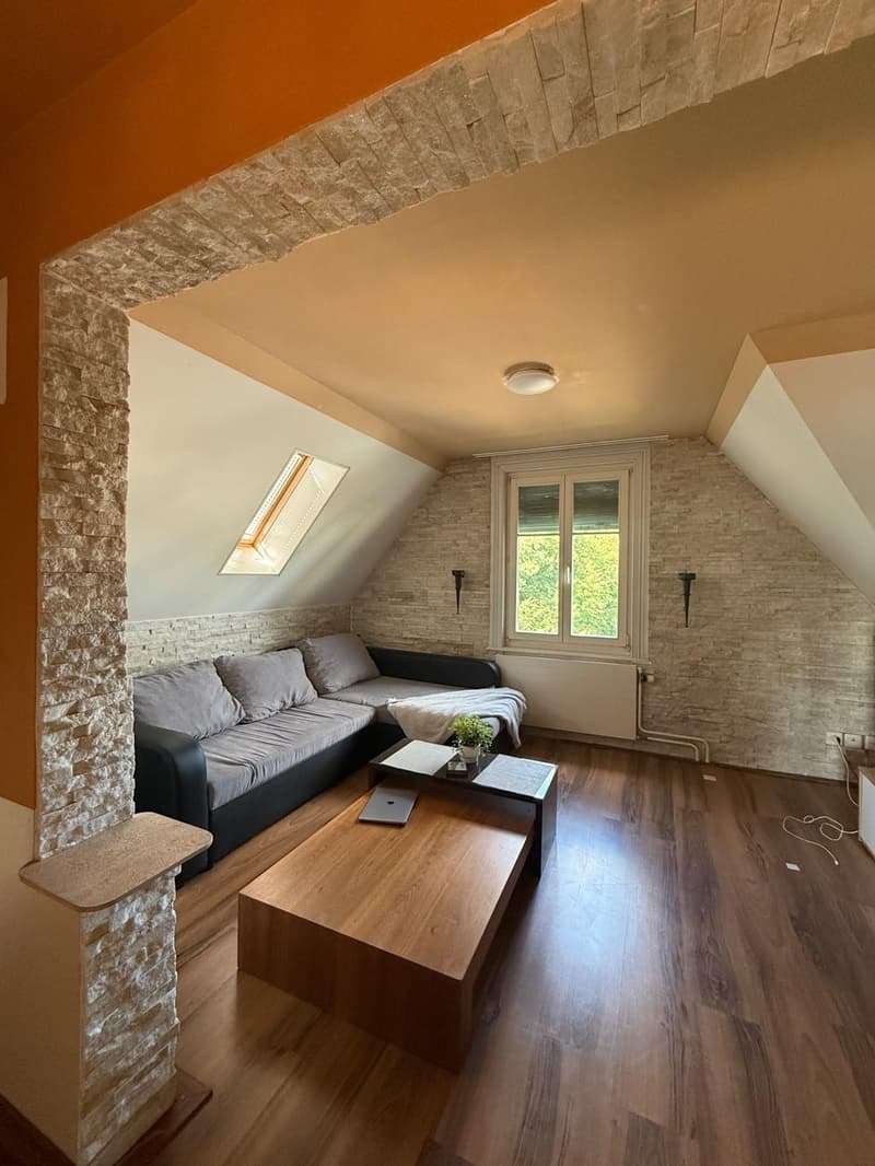Apartment in Flawil (1)