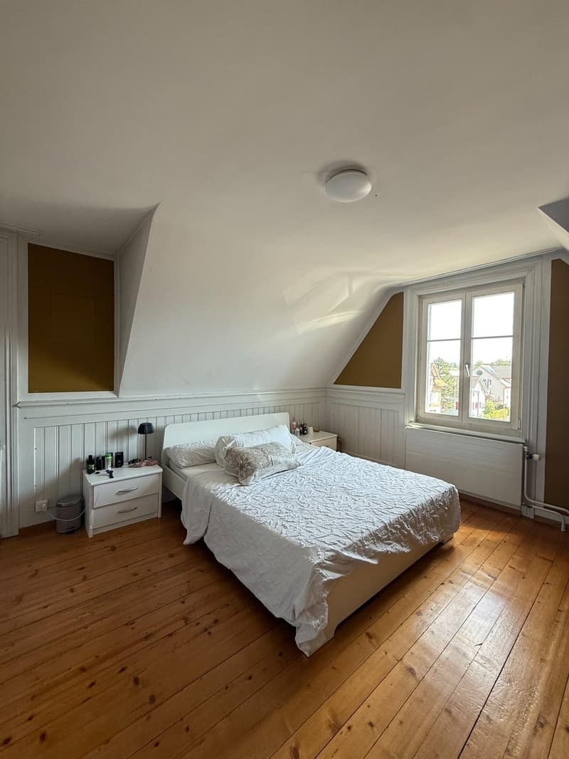 Apartment in Flawil (8)