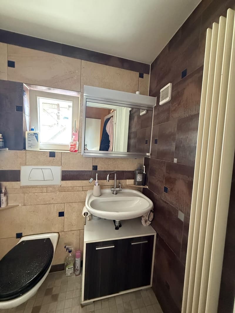 Apartment in Flawil (9)