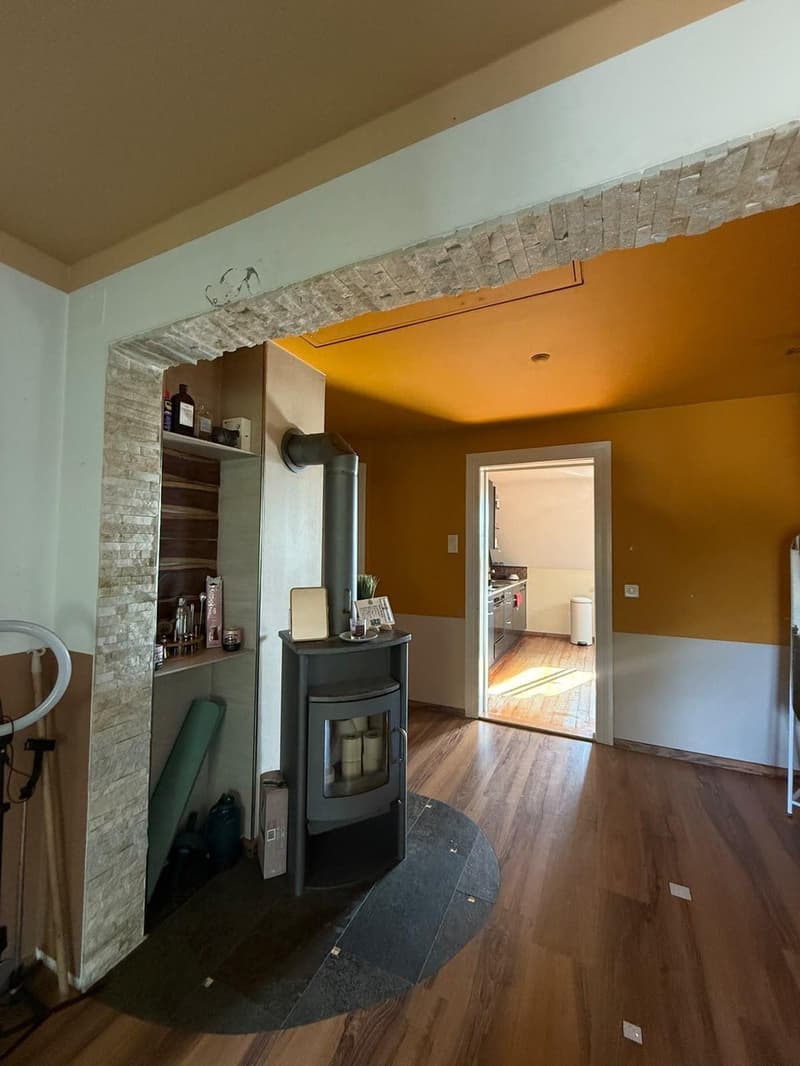 Apartment in Flawil (7)