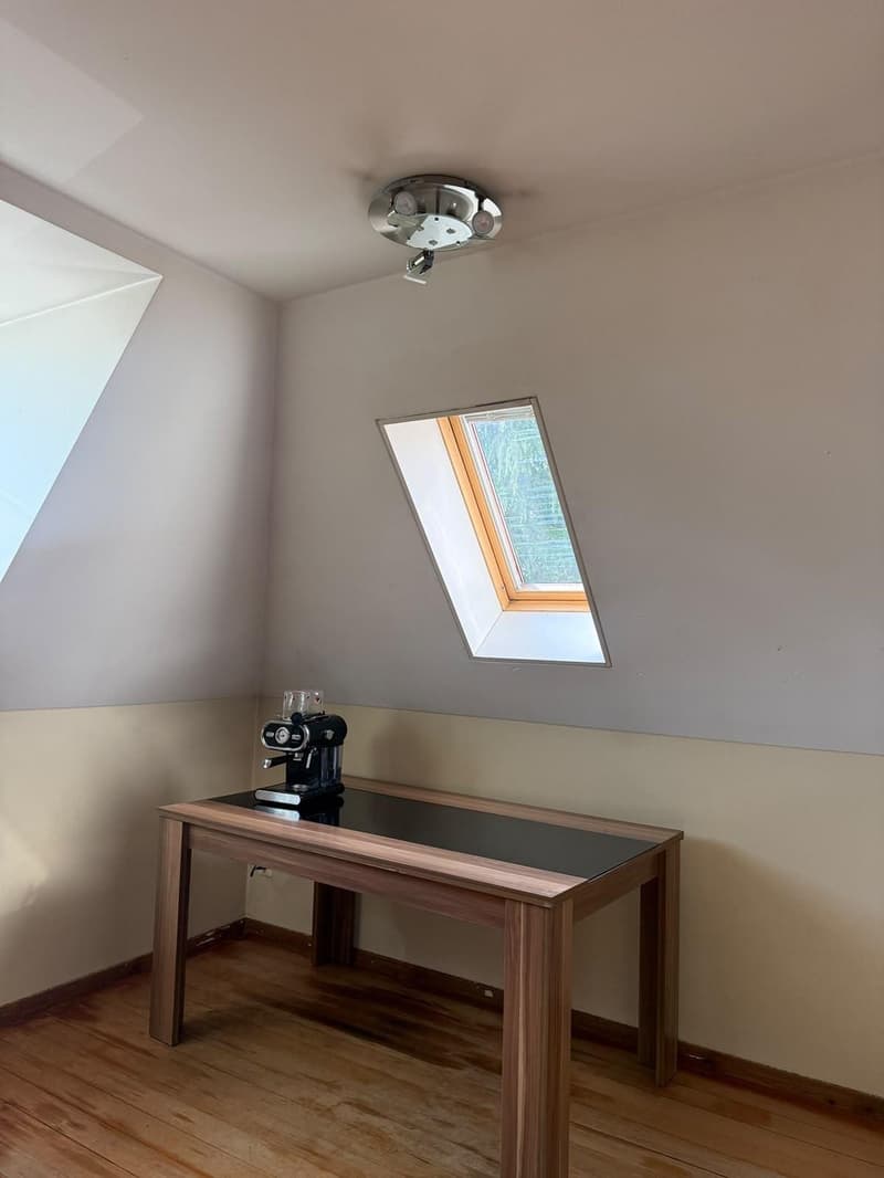 Apartment in Flawil (5)