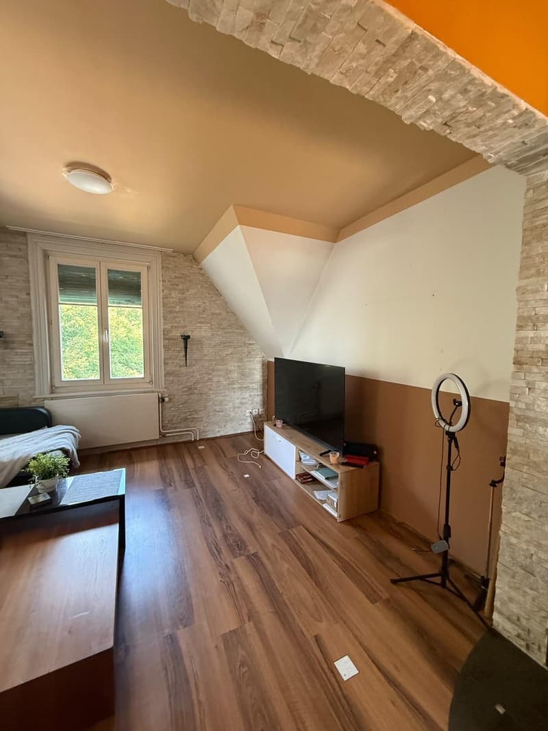 Apartment in Flawil (6)