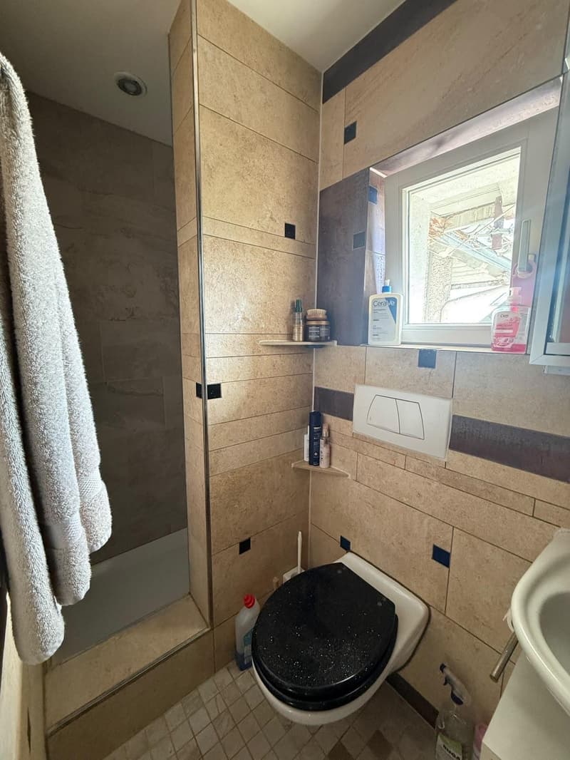 Apartment in Flawil (11)