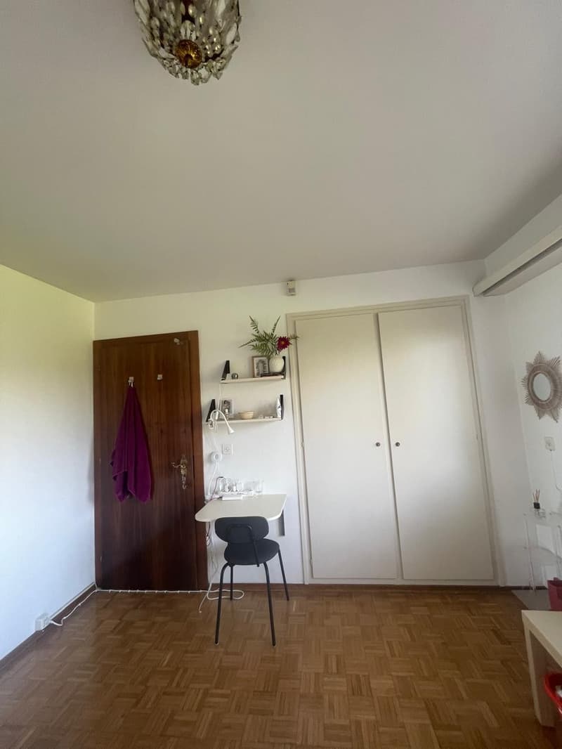 Charming room in Chambésy CHF 1,200/month, Utilities Included (4)