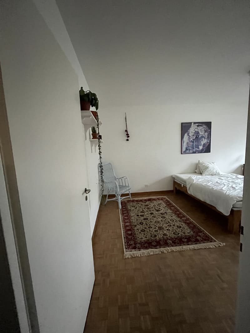 Zimmer in 2er WG (3)