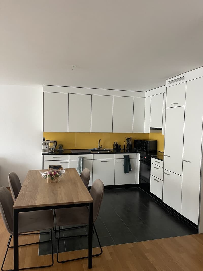 Tolle Neubauwohnung in Uster (3)