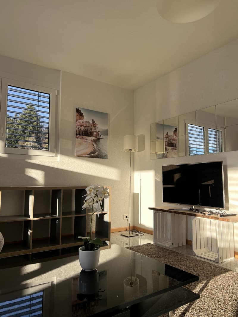 Room in co-living in a magnificent villa (6)