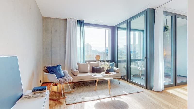 2 ½ rooms apartment, 6020 Emmenbrücke (5)