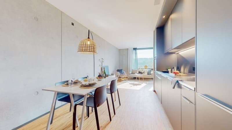 2 ½ rooms apartment, 6020 Emmenbrücke (1)