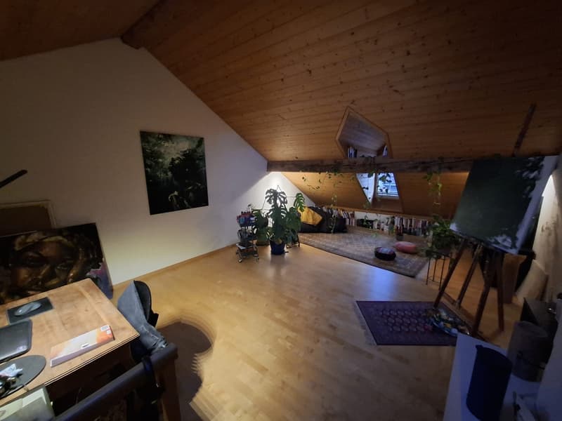 Befristete Zimmer in Zentrum Bern (1)