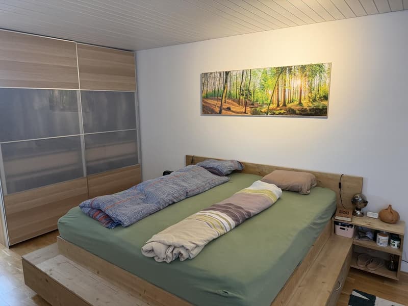 Charmante Dachwohnung (2)