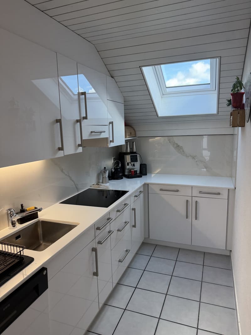 Charmante Dachwohnung (1)