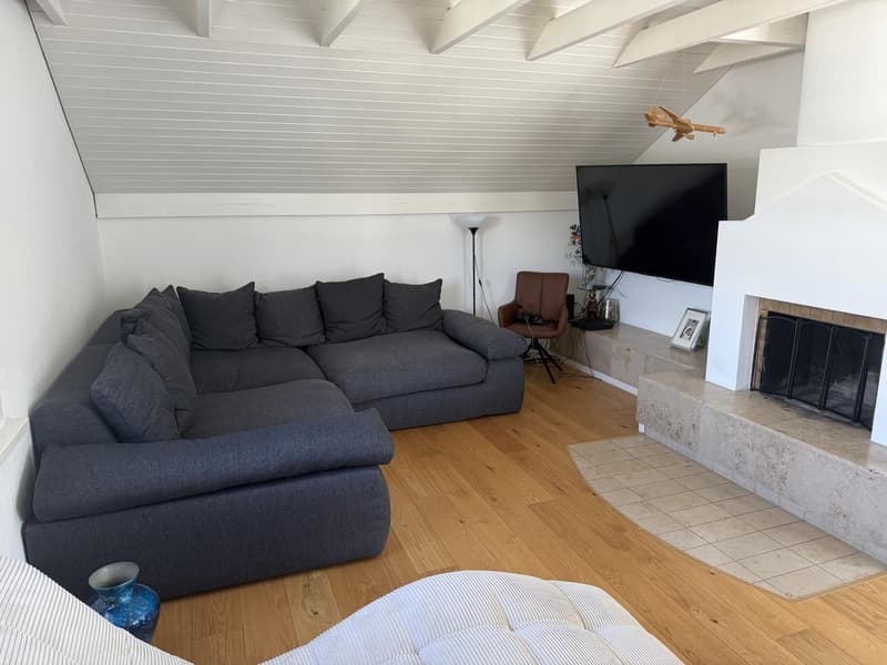 Charmante Dachwohnung (4)