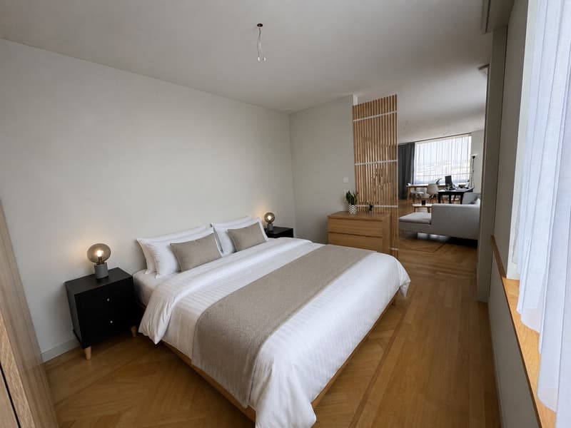 bright apartment fully equiped in the centre of Zurich (4)