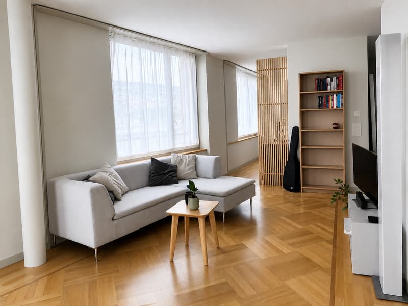 bright apartment fully equiped in the centre of Zurich (5)
