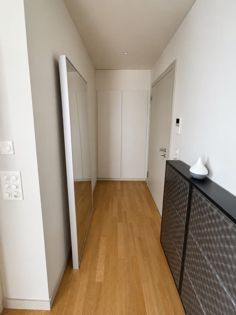 bright apartment fully equiped in the centre of Zurich (7)