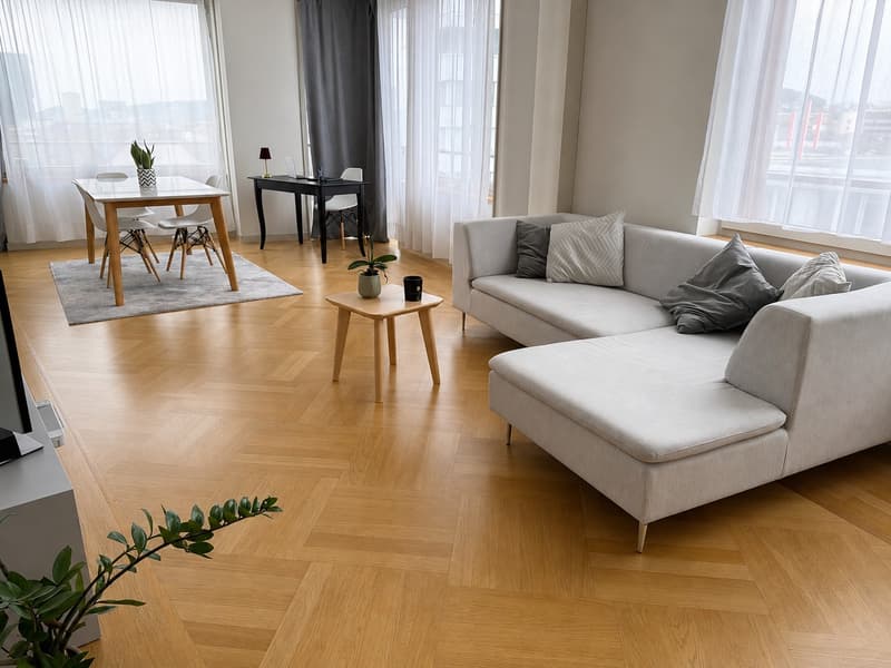 bright apartment fully equiped in the centre of Zurich (3)