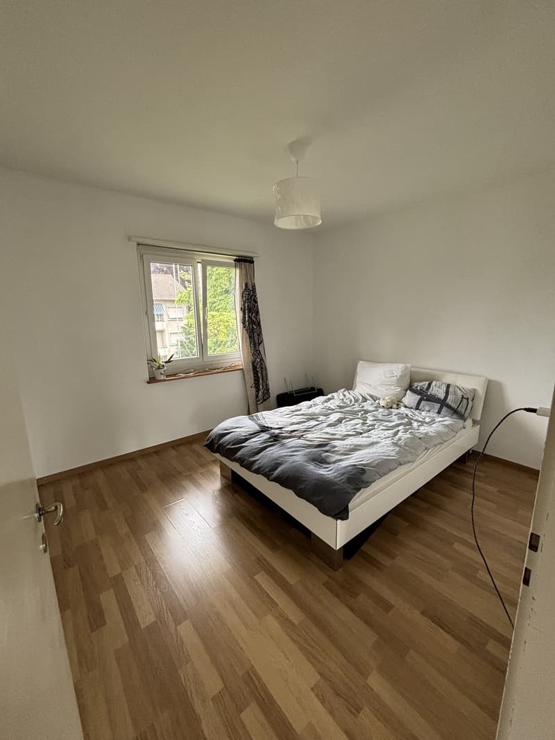 3-Room Apartment for Sublet in Zurich (3)