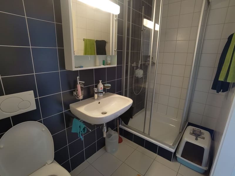 Chambre disponible dans une colocation à Vevey (6)