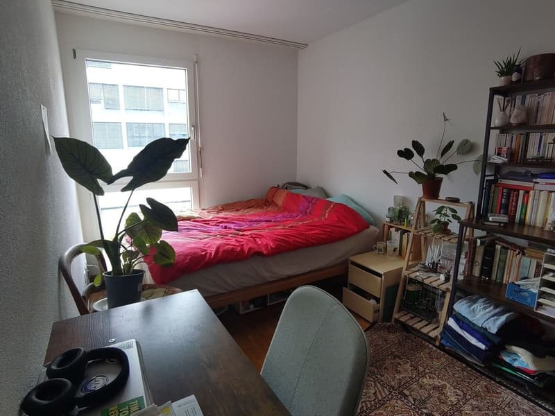 Chambre disponible dans une colocation à Vevey (3)