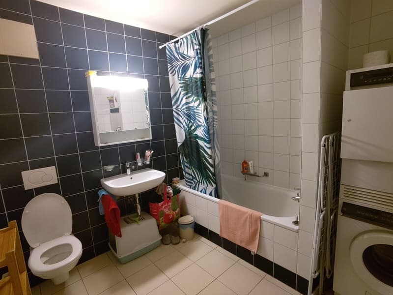 Chambre disponible dans une colocation à Vevey (5)