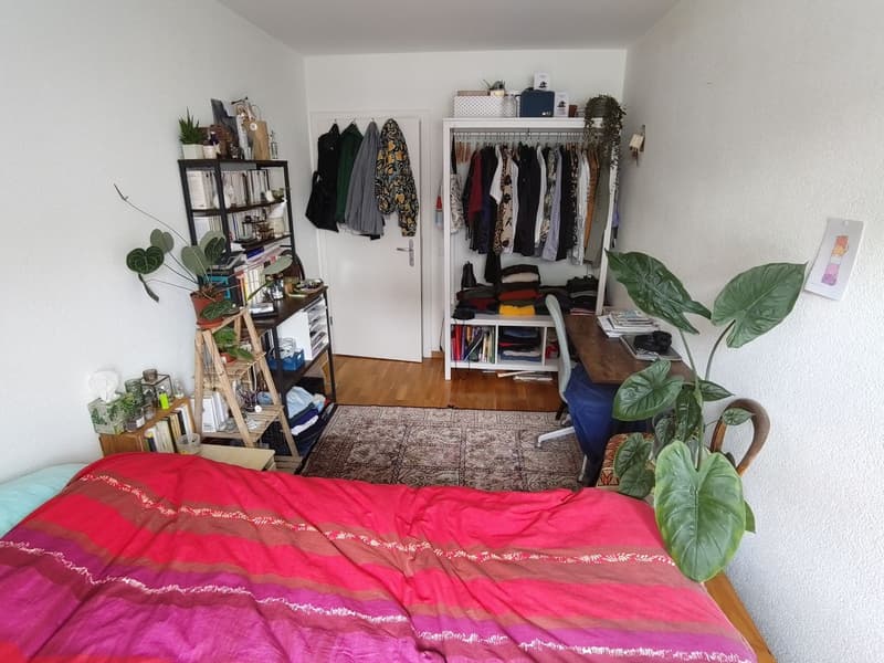 Chambre disponible dans une colocation à Vevey (4)