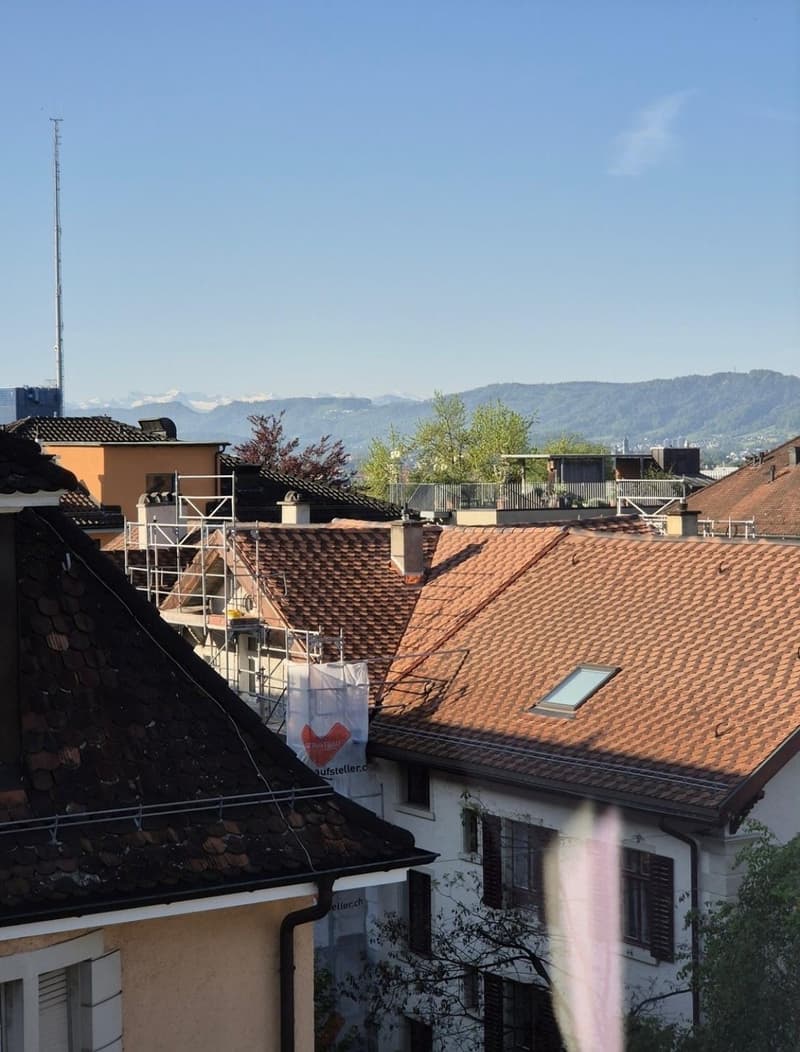Möbliertes Zimmer in ruhiger WG in Zürich Unterstrass (3)