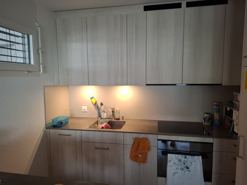 Ruhige, frisch renovierte Ein-Zimmer-Wohnung zu vermieten befristet: 01.10.26-14.02.27 (3)