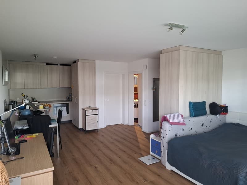 Ruhige, frisch renovierte Ein-Zimmer-Wohnung zu vermieten befristet: 01.10.26-14.02.27 (1)