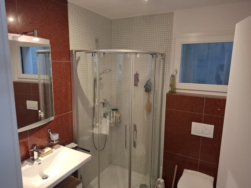 Ruhige, frisch renovierte Ein-Zimmer-Wohnung zu vermieten befristet: 01.10.26-14.02.27 (7)