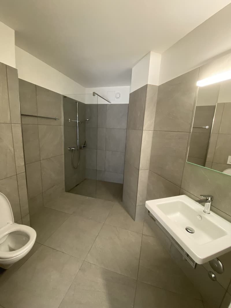 Modern 2.5-Room Apartment in Zurich Wiedikon (4)