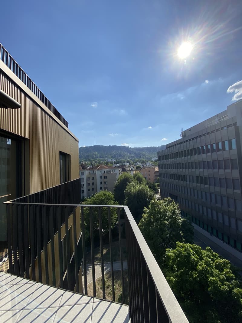 Modern 2.5-Room Apartment in Zurich Wiedikon (6)