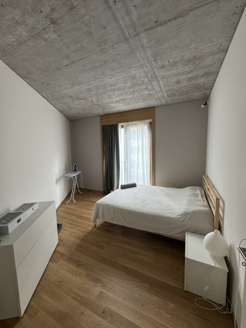 Modern 2.5-Room Apartment in Zurich Wiedikon (3)